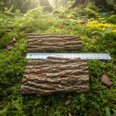 Mossy bark flats