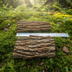 Mossy bark flats