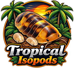 Tropical Isopods