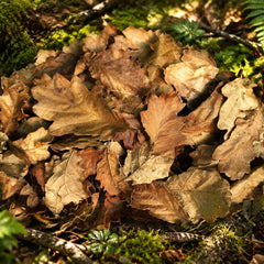Oak Leaves - 1 Gallon Bag