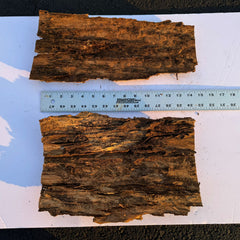 Mossy bark flats