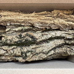 Mossy bark flats